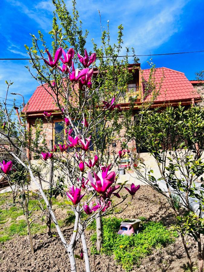 Willa Sunshine House Kutaisi Zewnętrze zdjęcie