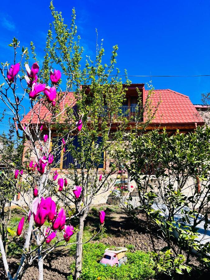 Willa Sunshine House Kutaisi Zewnętrze zdjęcie
