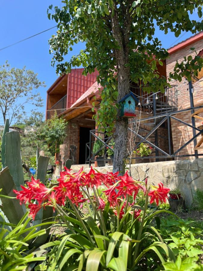 Willa Sunshine House Kutaisi Zewnętrze zdjęcie
