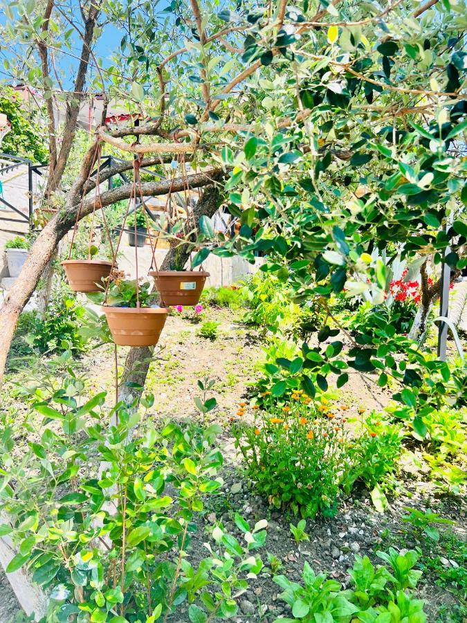 Willa Sunshine House Kutaisi Zewnętrze zdjęcie