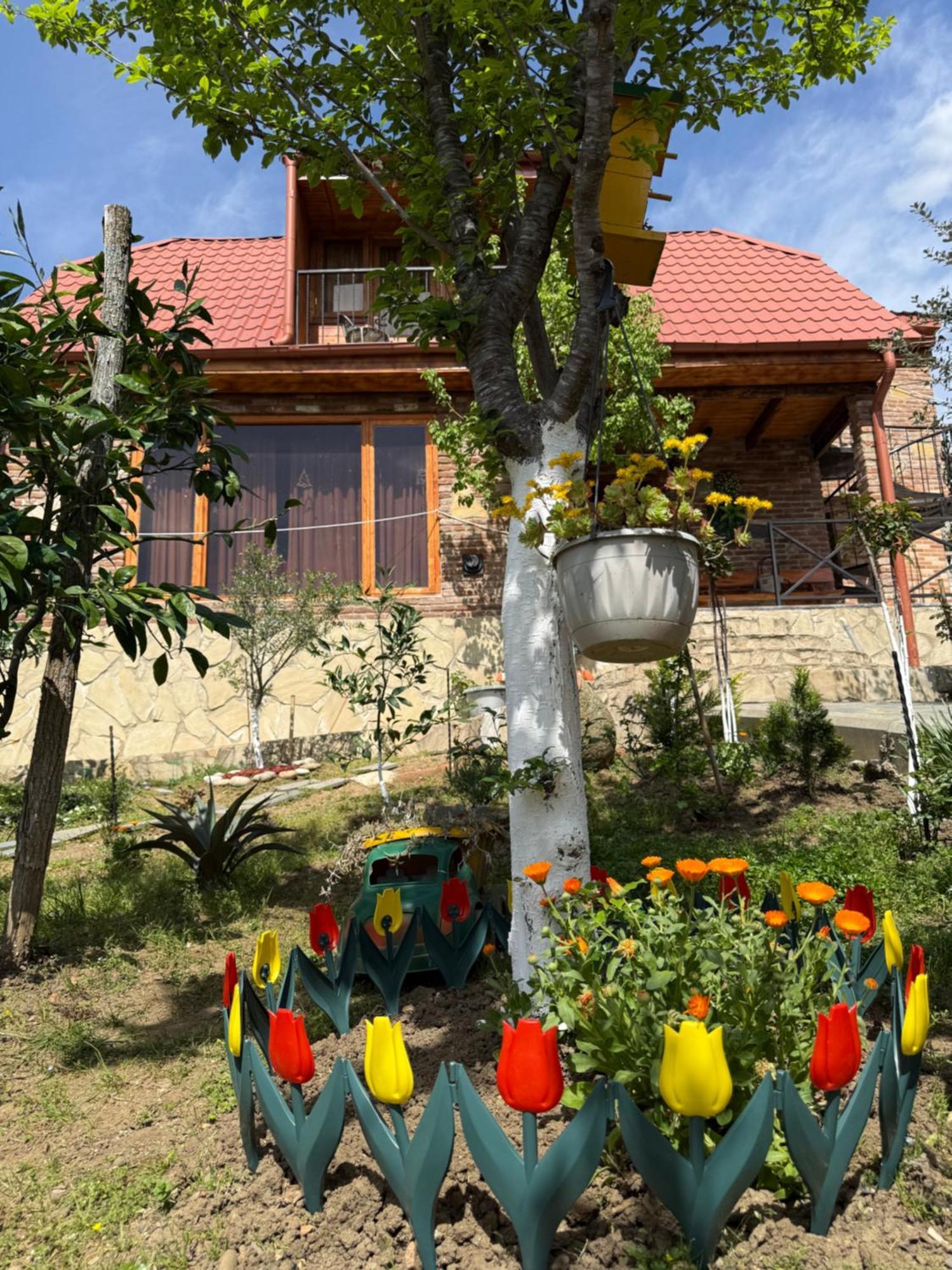 Willa Sunshine House Kutaisi Zewnętrze zdjęcie